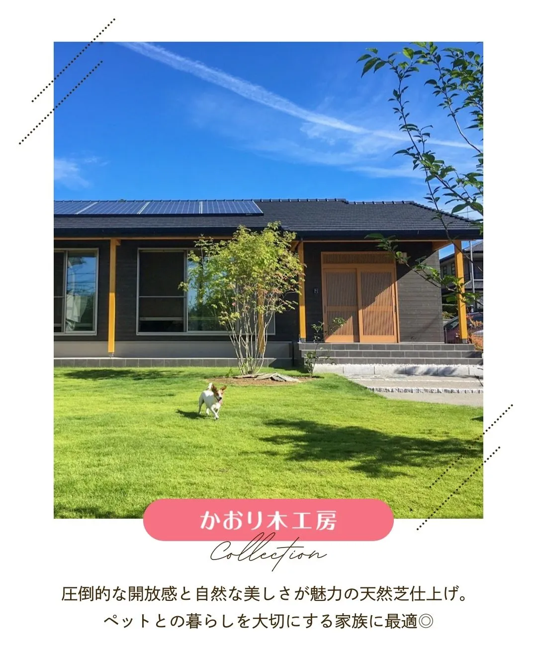 /設計力が作る幸せ空間